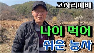 [고사리박사] "쉬운 농사! 나이 먹어도 가능한 고사리 재배 - 고령 농업과 여성 농업의 새로운 길!