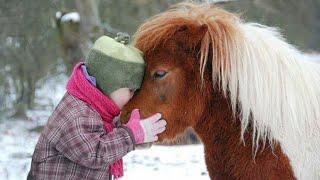 When we share pure love with each other - Cute animals and little friends ️