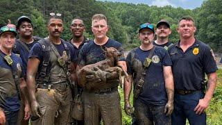 ‘Always ready’: DeKalb fire officials rescue fawn trapped in the mud