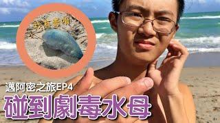 碰到致命劇毒水母…｜邁阿密之旅EP4｜男生宿舍