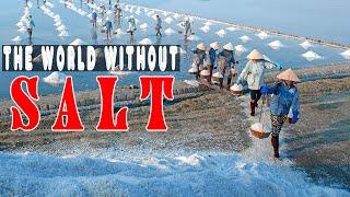 What If Salt Never Existed? - History Documentary