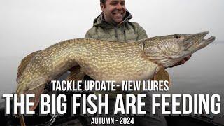 The Big Fish Are Feeding - Tackle Update - Autumn 2024