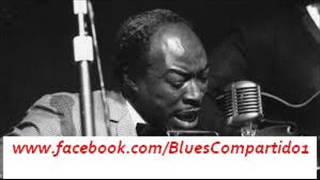 Jimmy Reed - Ann Arbor Blues & Jazz Festival, 1973