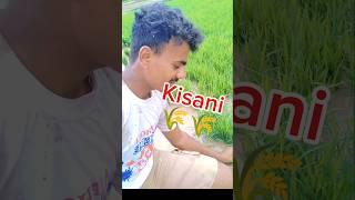 kisani#minivlog #pleasesubscribe #share #RP Vlogs78 #humanity @mrindianhacker