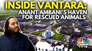 Inside Anant Ambani's Vantara | Reliance Foundation's Animal Rescue & Care Facility | N18V