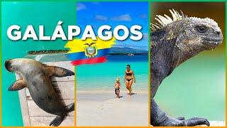 GALÁPAGOS: The ULTIMATE Guide! ALL Sights and ANIMALS on Santa Cruz, Isla Isabela & San Cristóbal