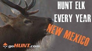 Hunt Elk Every Year: New Mexico Elk "How To" with goHUNT INSIDER