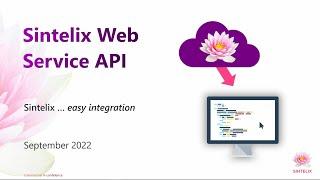 Sintelix web services API