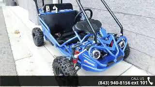 2017 Honda® hammer head go cart  - Velocity Powersports ...