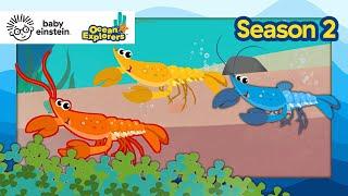 Let's Explore: Pairs with Lobsters! | Ocean Explorers Season 2 | Baby Einstein | Education Show