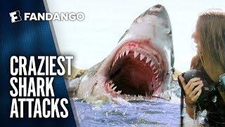 Best Shark Attack Movie Mashup | Movieclips