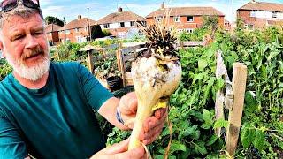 Half My Onions Are Totally Useless | Allotment Gardening With Tony