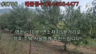 영천북안과수원###영천촌집###영천토지###영천부동산###