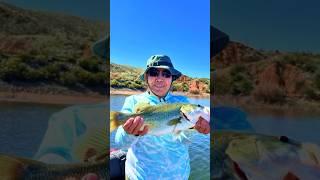 Roosevelt Lake Camping & Fishing