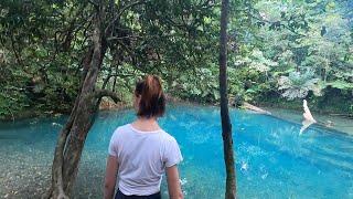 Cape Tribulation | Fishing the Cape, Coconuts & TURQUOISE Swimming Holes