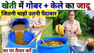 खेती में गोबर और केले का जादू | organic high power | jaggery uses in agriculture | NPK khad | kheti