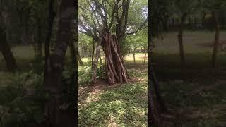 IMG 3644
