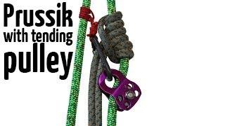 Prusik with tending pulley | Arborist climbing techniques