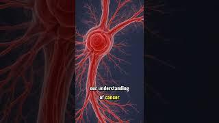 The Hidden Organ: Unlocking the Secrets of the Interstitium