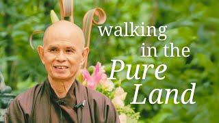 Walking in the Pure Land | Teaching by Thich Nhat Hanh | #mindfulness