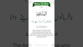  AL-MUNTAQIM | 81th Name of Allah #namesofallah #asmaulhusna #ytshorts