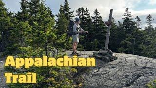 Appalachian Trail 2024 Day 198: Poplar Ridge to Spaulding Mtn