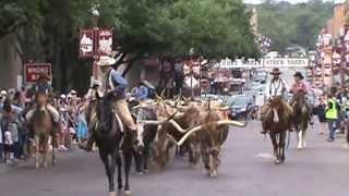 Cattle Drive, Stockyards Station,  Fort Worth