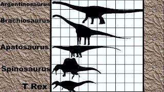 Dinosaur Size Comparison 2D