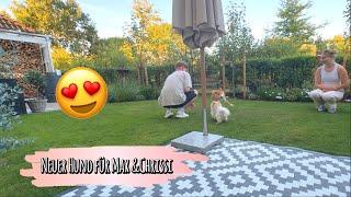 Neuer Hund für Max & Chrissi  XXL-Vlog  marieland TipTapTube Mama Life Vlog