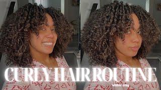 2024 winter curly hair routine: protein treatment, finger coiling method, diffusing, and MORE