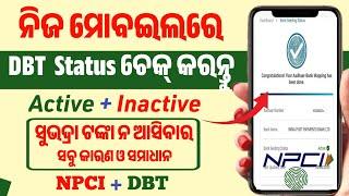 NPCI DBT କେମିତି ଚେକ୍ କରିବେ? Aadhaar seeding with bank account | Npci link to bank account | Dbt