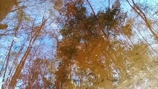 handpan reflejo 2 #nature #meditation #relaxing