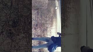 Snake head fish Catching #shorts