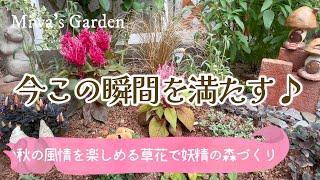 【素敵な秋の庭づくり】秋の庭を彩る長く楽しめる＊おすすめ宿根草と一年草/カレックスで妖精の花壇/ガーデニング