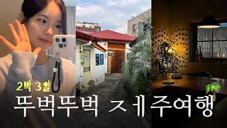 [ VLOG ] 실패없는 제주 여행 | 뚜벅이를 위한 동쪽 코스 | 2박3일 제주도 여행 | 나은이네  @naeunn.e