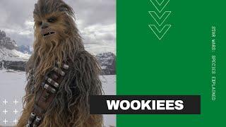 Star Wars Species Explained: Wookiees