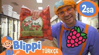 Blippi ile Ahududu Fabrikası Turu!  | Blippi Türkçe - Çocuklar için Eğitici Videolar