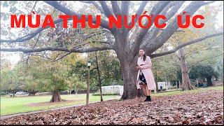 MÙA THU NƯỚC ÚC | AUTUMN IN AUSTRALIA| Chau Riches 