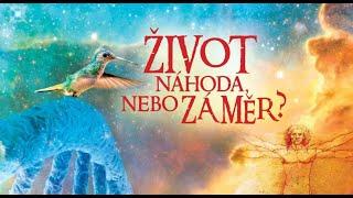 Život - náhoda, nebo záměr? | Dokument