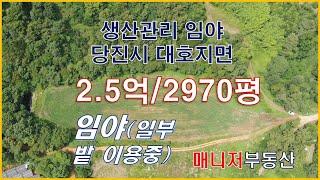 (토240626)당진시 임야매매/대호지면 생산관리지역 낮은 임야(일부 밭이용중) 2970평, 2억5천만