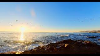 Sunset stroll thru Treasure Island - Laguna Beach, California (360 video / VR)