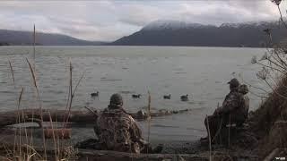 Duck hunting at Low Tide At Larson Bay Alaska