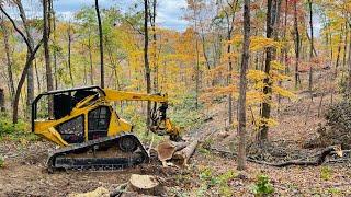 Bell Ultra T Feller Buncher Walk-Around