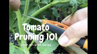 How to Prune Indeterminate Tomatoes - Tomato Pruning 101 - Step By Step - Humid Climates Zone 7B