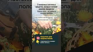 ЭТИ 3 АПТЕЧНЫХ СРЕДСТВА ЗАМЕНЯТ ДОРОГИЕ ЛЕКАРСТВА!  (Аптекари скрывают этот секрет!)