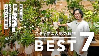 アクタススタッフが実際に育てている観葉植物7選！