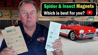 Best Sticky Traps For Spider And Insect Control - Which One Is Right For You?