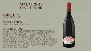 WINECULT Bottle Breakdown - Malat 2019 Pinot Noir