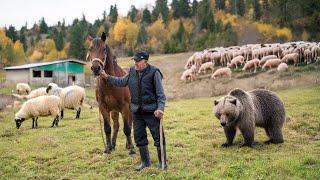 87 Years Among Wolves and Bears: The Legendary Shepherd of the Carpathians