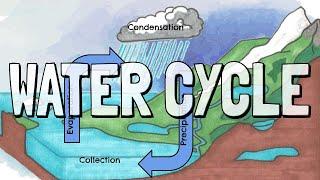 The Water Cycle